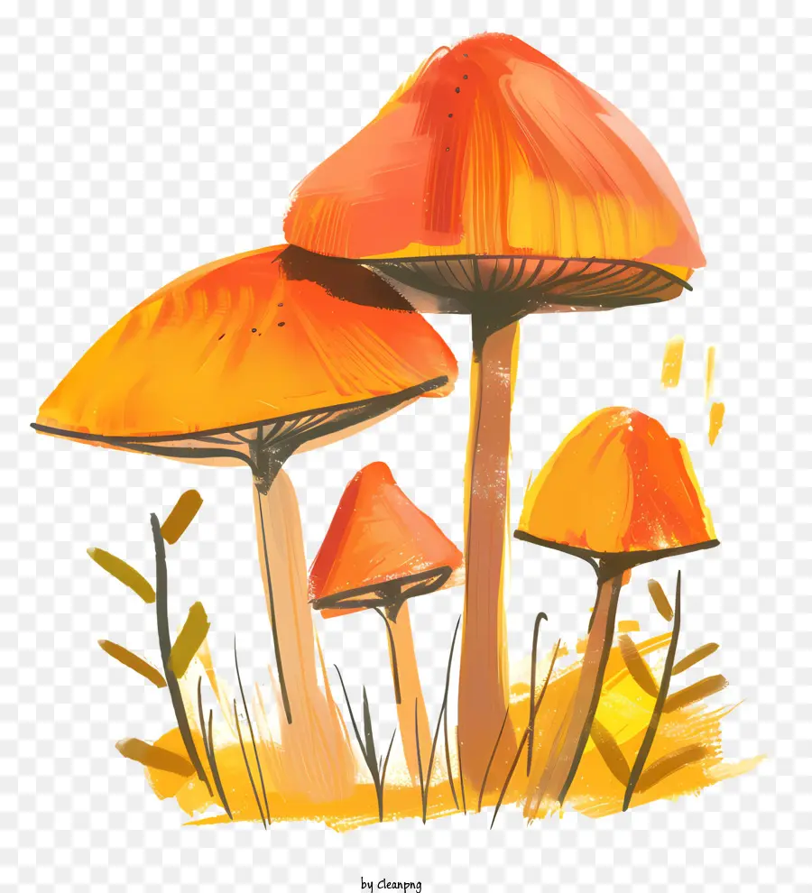 funghi funghi comuni funghi colorati - Quattro funghi colorati in campo erboso