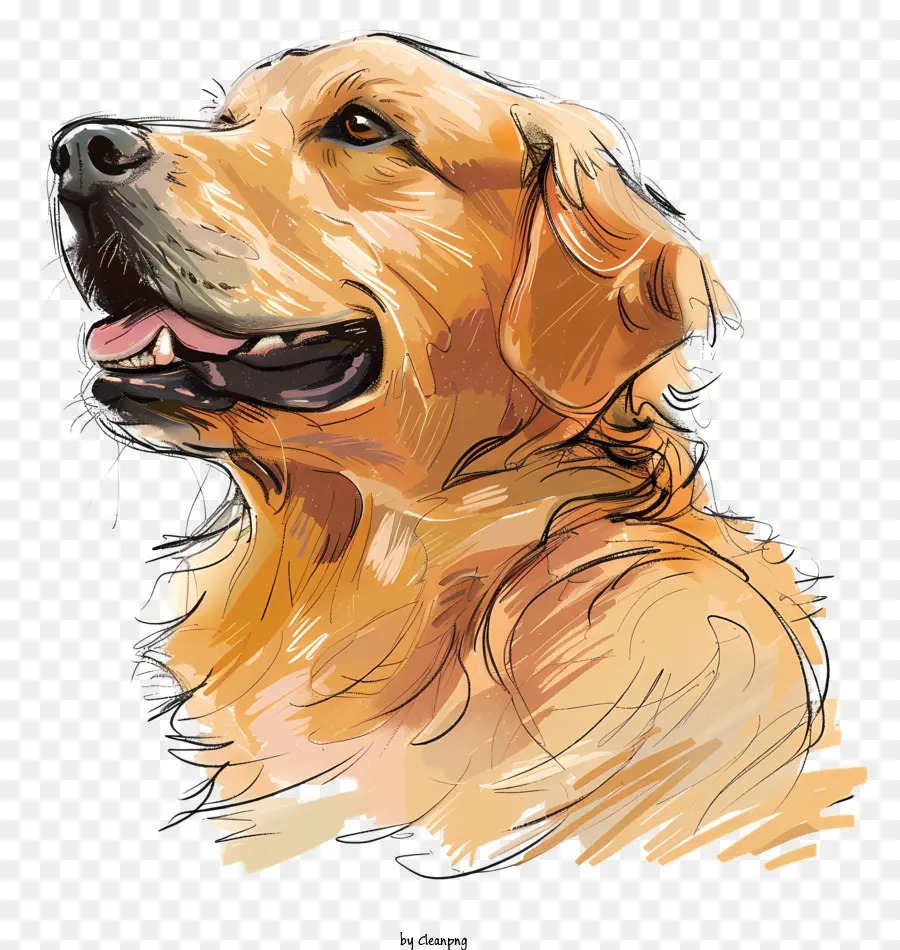 golden retriever golden retriever dog painting realistic art pet portrait