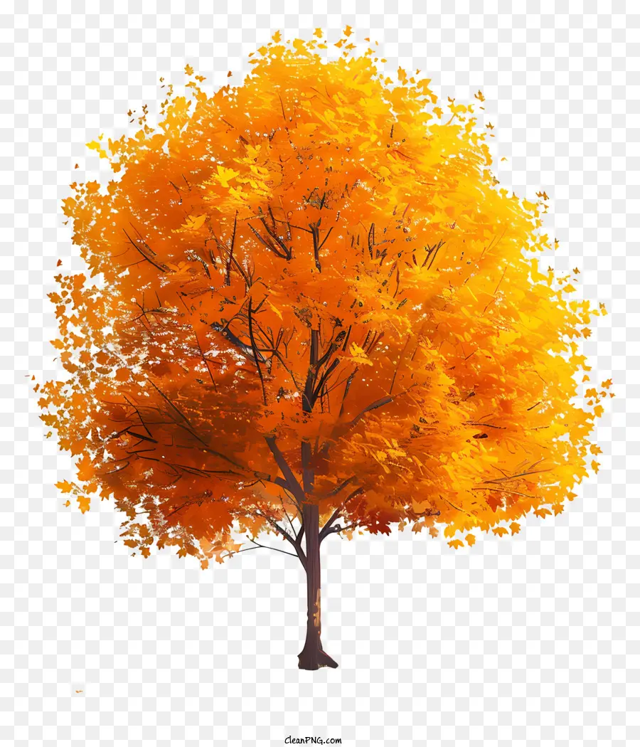 albero di arancio - Albero arancione che diventa dorato nel paesaggio autunnale