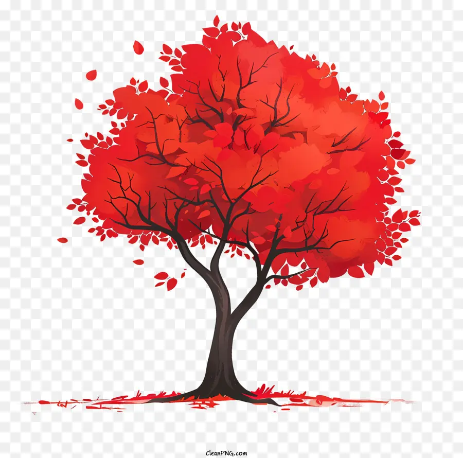 albero in autunno - Albero bianco e nero con foglie rosse