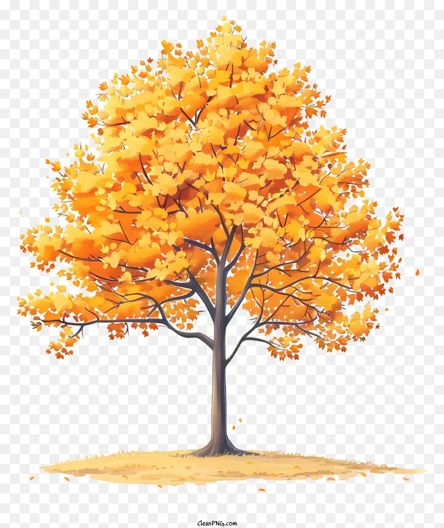 Herbst Baum - Einsamer Fallbaum im offenen Feld