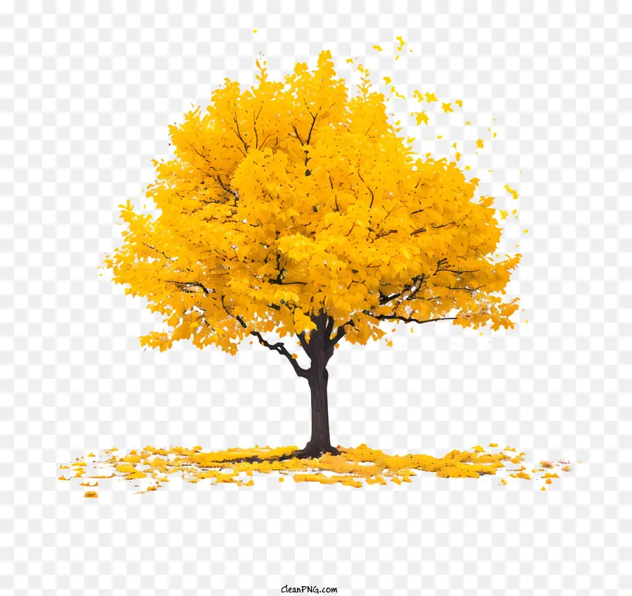 fallende Blätter - Goldener, gefallener Baumblätter in einem Park