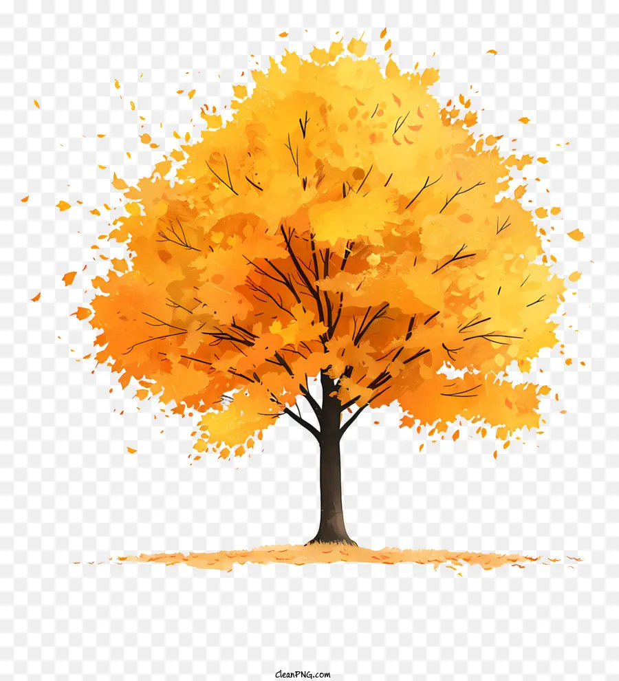 cây mùa thu - Cây mùa thu cô đơn rụng lá màu cam