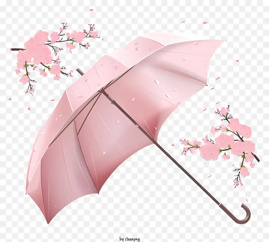 Spring Rainy Day Umbrella Pink Cherry Blossoms - Fiori di ciliegio rosa che cadono dietro ombrello aperto