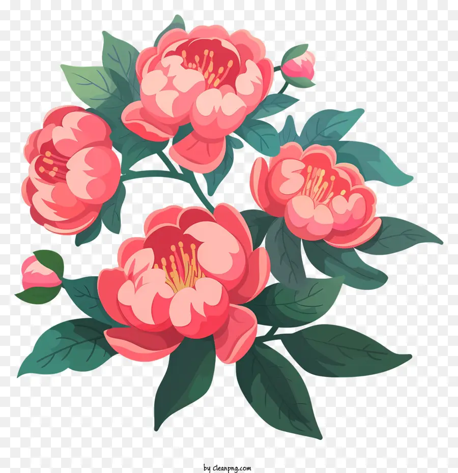 disegno floreale - Fiori di peonia rosa brillante su sfondo nero