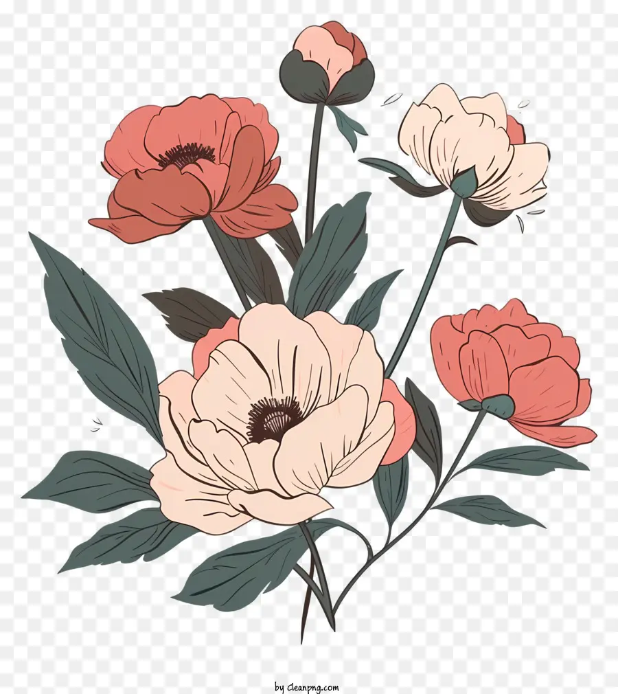 Vẽ Tay - Bó hoa màu hồng và trắng vẽ tay