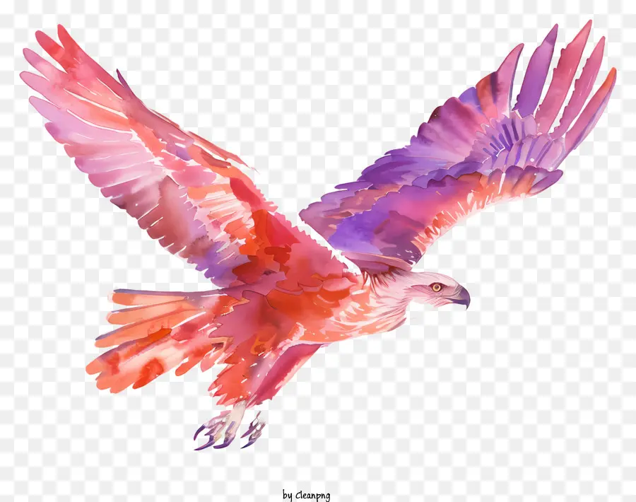 ali - Uccello colorato in volo con becco aperto