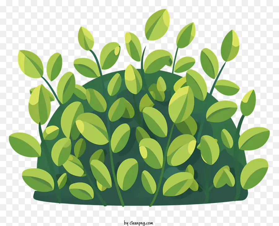Büsche grüne Blätter Symmetriewachstumerneuerung - Symmetrische Anordnung von grünen Blättern auf Felsen