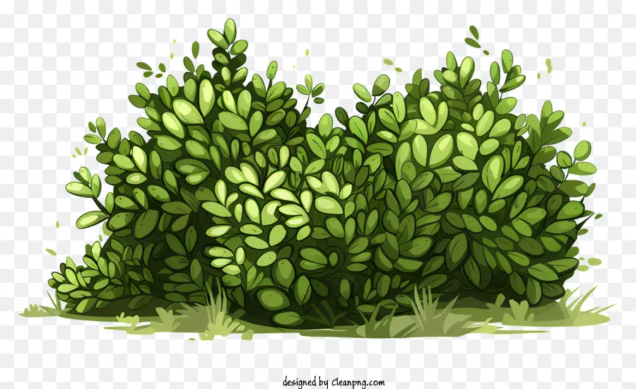 Büsche buschgrüne Blätter natürliche Umgebung gesunde Pflanze - Üppiger grüner Busch in der natürlichen Umgebung