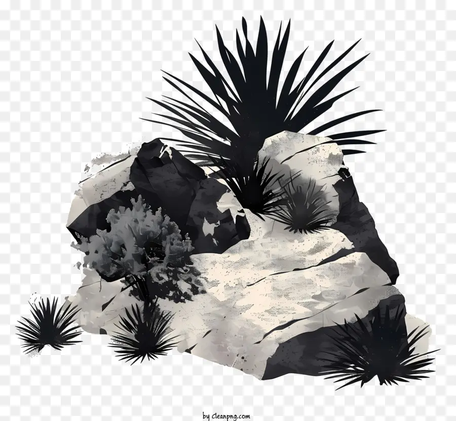 Bushe Formazioni rocciose piante all'aperto cactus - Paesaggio del deserto in bianco e nero inquietante