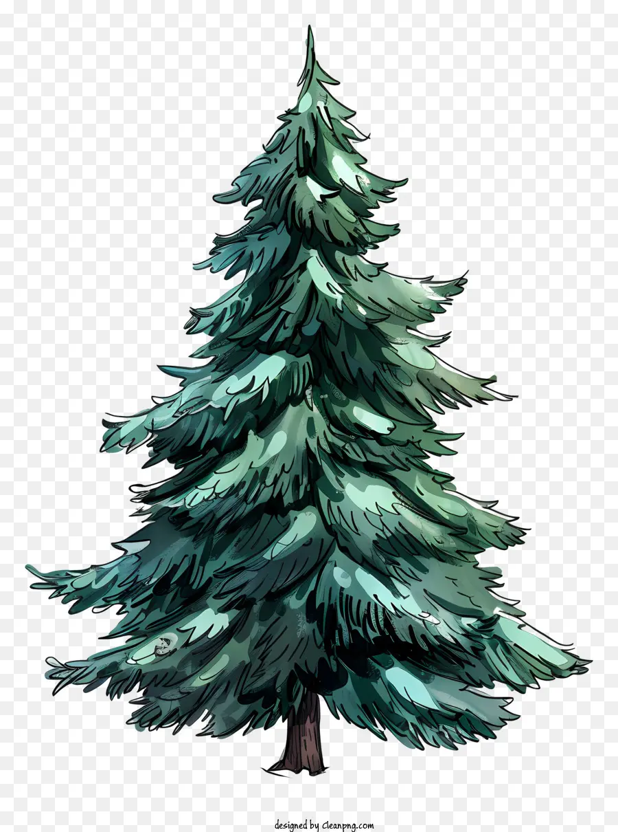 fir tree fir tree green drooping branches needles
