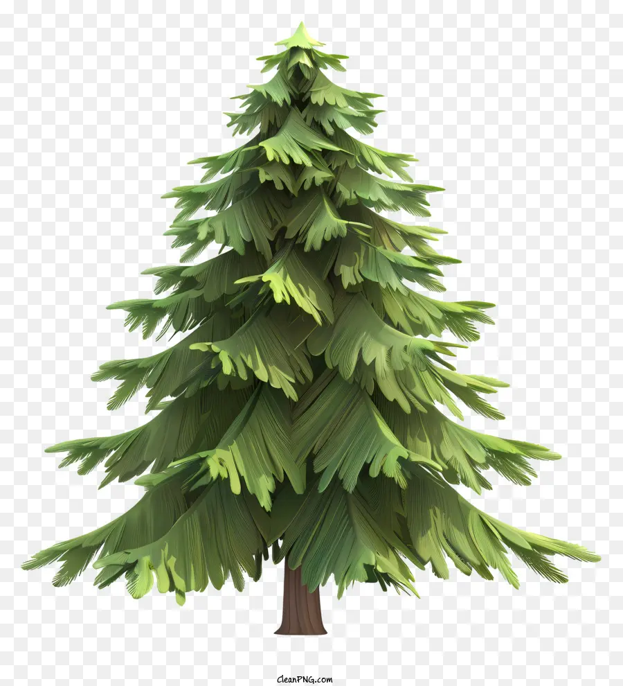 Tannenbaum Tannen Baumnadeln grüne Zweige - Realistisches 3D -Bild des symmetrischen Tannenbaums