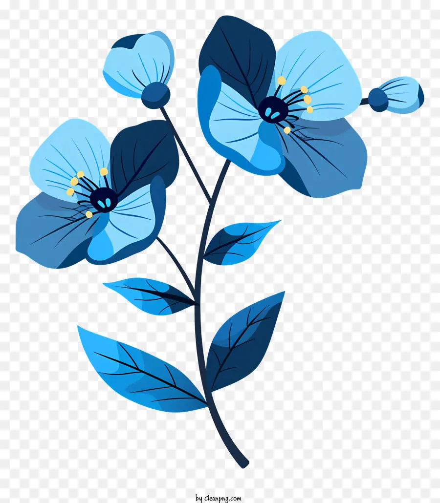 fiori blu fiori blu foglie verdi bouquet eleganti - Elegante bouquet di fiori blu su sfondo nero