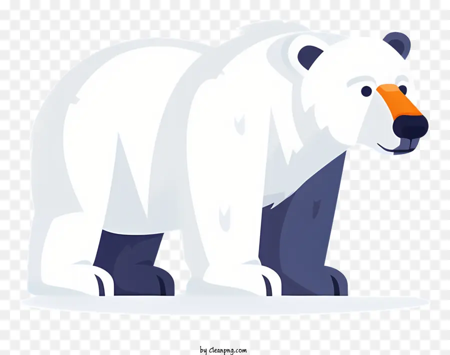 Orso glaciale - Orso polare con una lunga pelliccia bianca in piedi