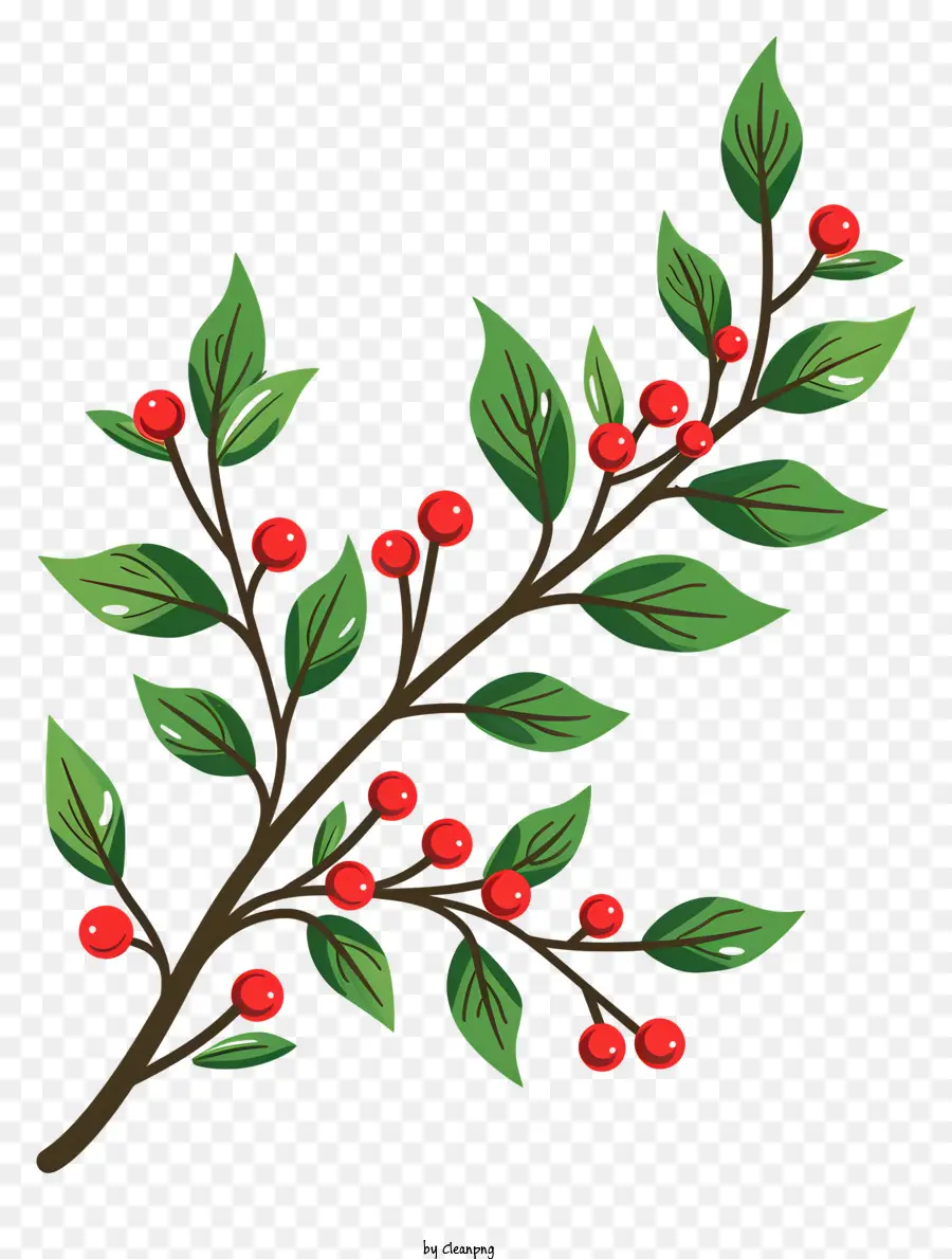chi nhánh cây - Nhánh đen và trắng với quả mọng đỏ