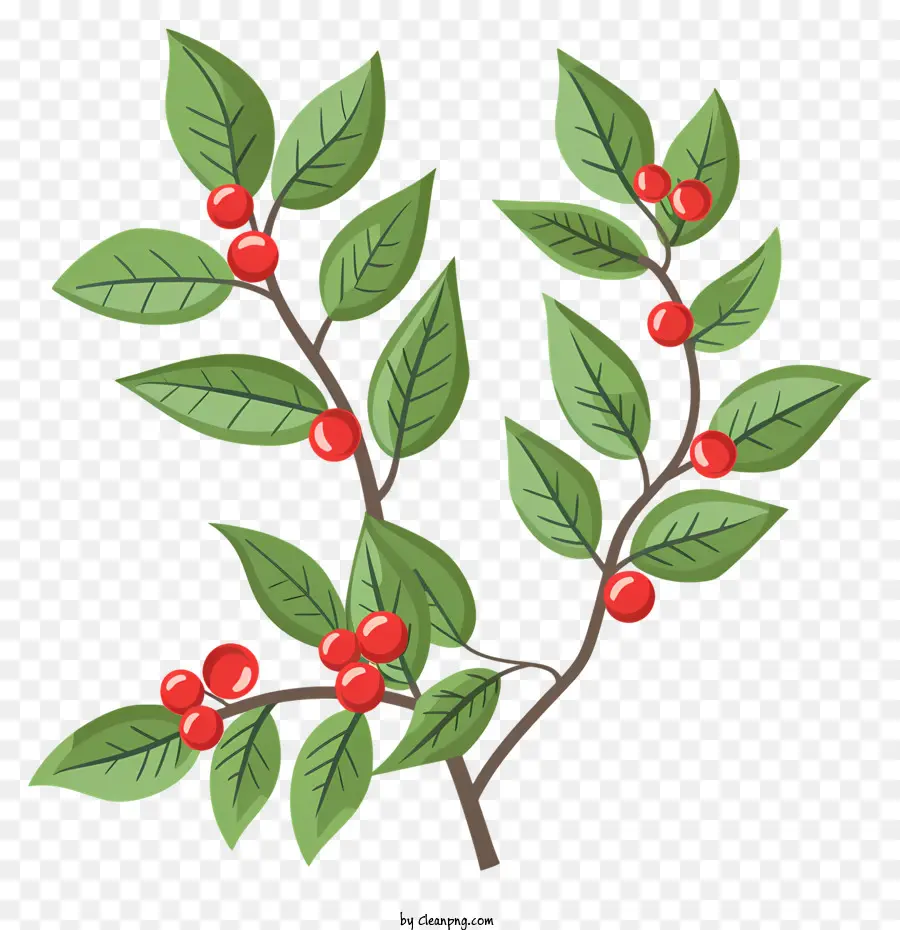 cành cây màu xanh lá cây với quả mọng đỏ - Cành với quả mọng đỏ và lá xanh