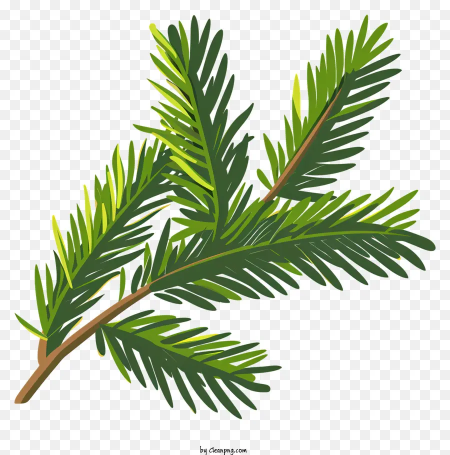 Ramo di albero di natale - Ramo di pino verde stilizzato su sfondo nero