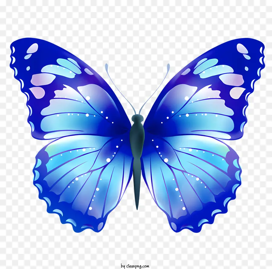 Bướm bướm xanh cánh bướm màu đen cánh trong mờ - Bướm màu xanh và đen với đôi cánh mờ