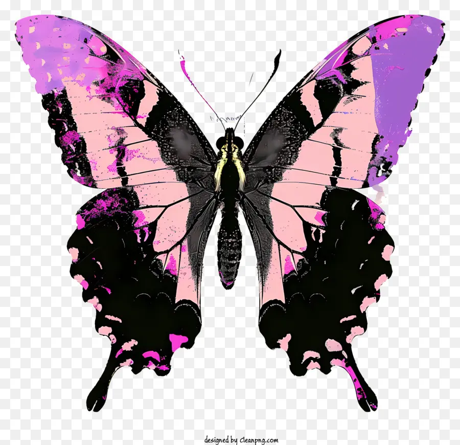 Schmetterlings Silhouette - Detaillierter rosa und schwarzer Schmetterling mit Antennen