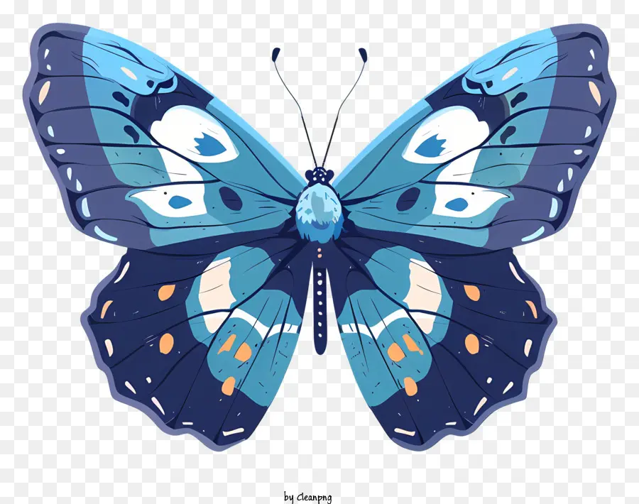 ali - Farfalla blu con macchie in bianco e nero