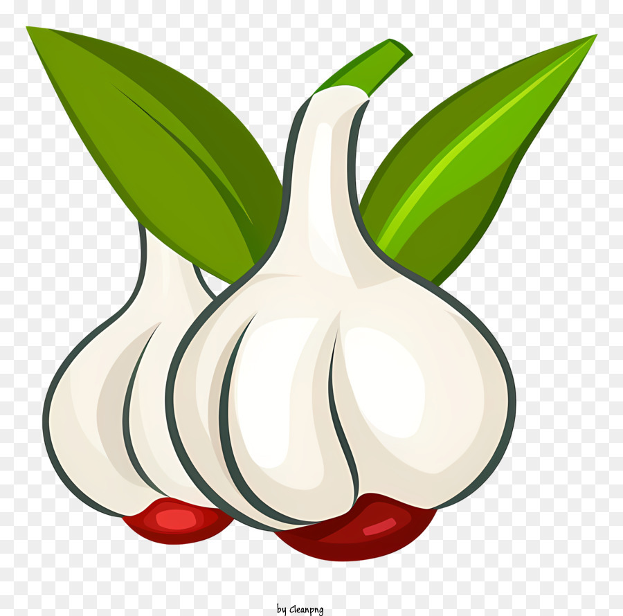 Two garlic bulbs with green leaves png download - 3000*2828 - Free