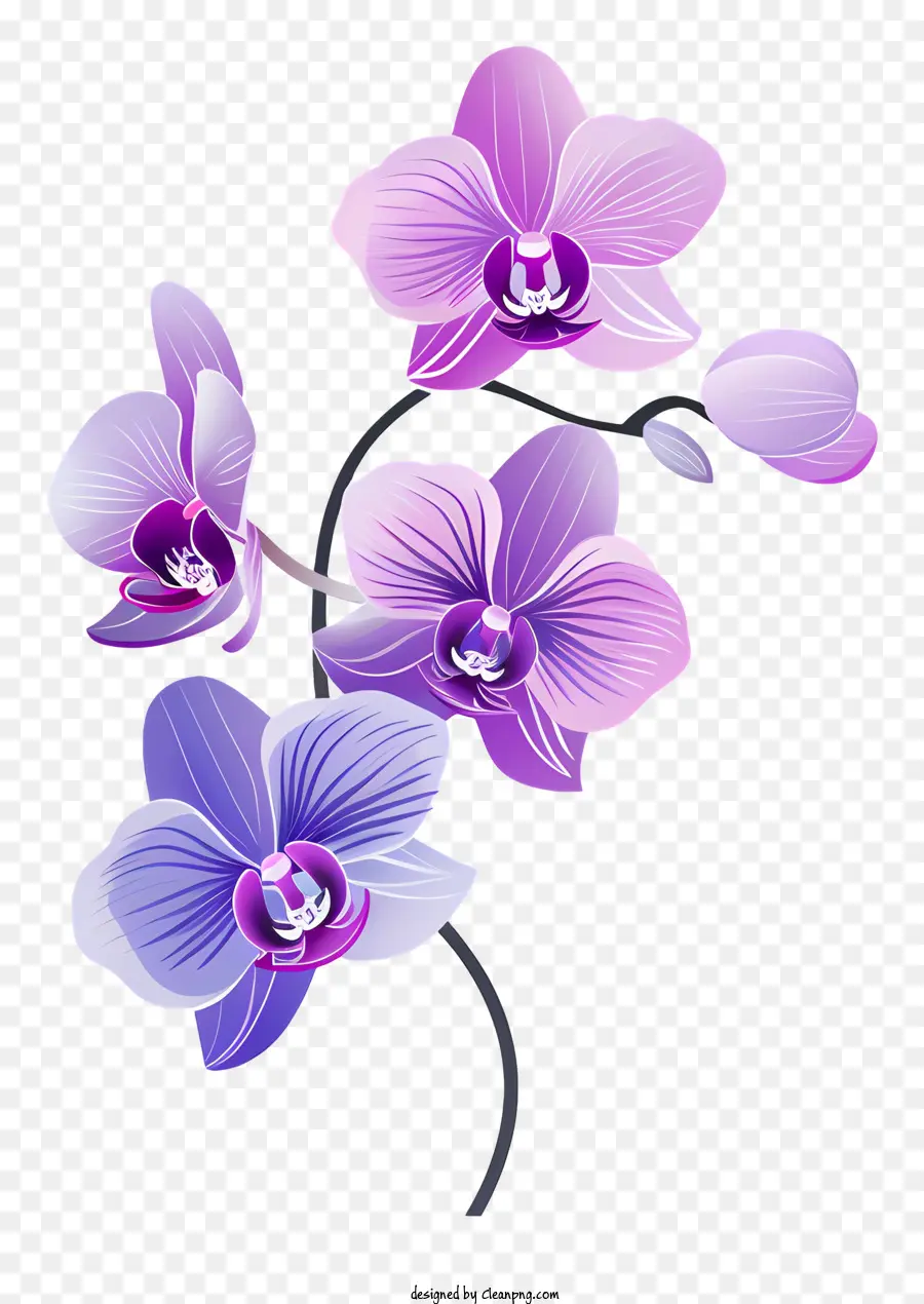 Gesteck - Drei lila Orchideen in kreisförmiger Anordnung