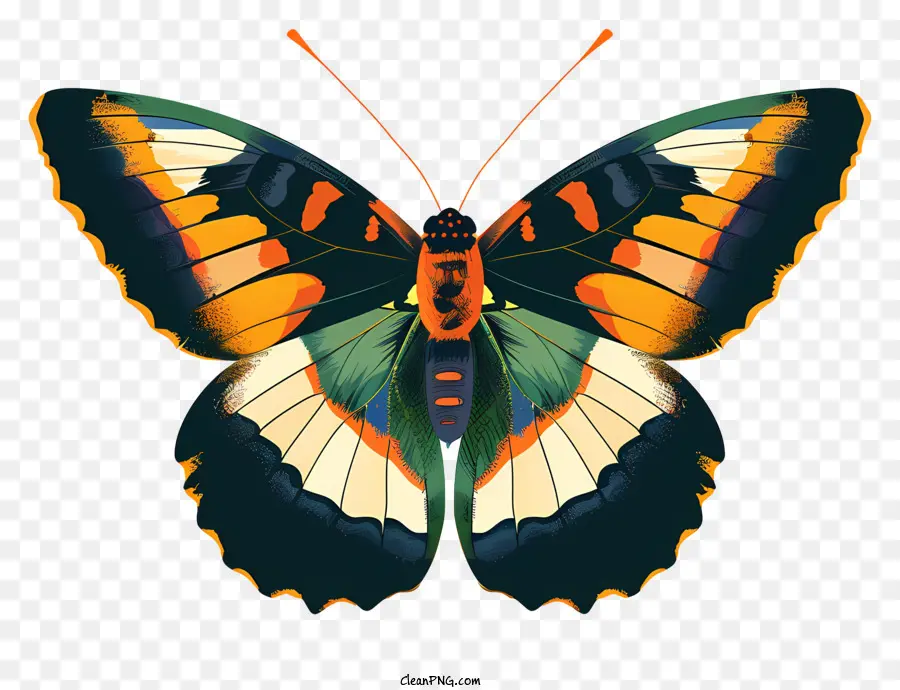 Flügel - Buntes Schmetterling mit schwarzem Körper und Antennen