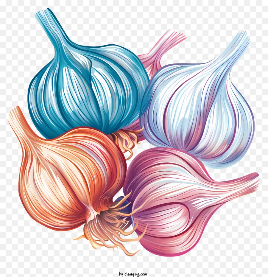 Giorno dell'aglio colorati lampadine all'aglio rosso aglio aglio aglio unico varietà di aglio - Quattro lampadine all'aglio in vari colori