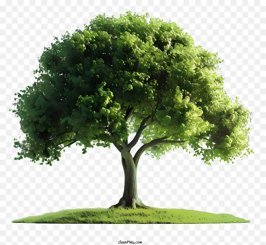 Arbor Day - Einsamer Baum in grünen Feld mit Blättern