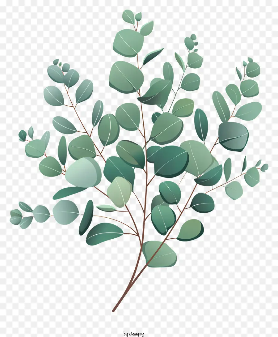 foglie di eucalipto ramo di eucalipto foglie verdi da vicino - Primo piano del ramo di eucalipto con foglie verdi