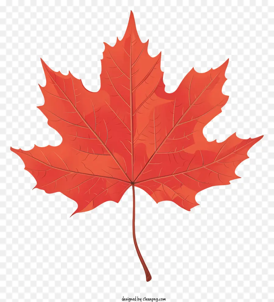 Ahornblatt - Ikonisches rotes Ahornblatt symbolisiert Kanada