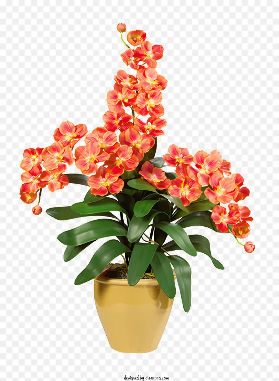 la disposizione dei fiori - Vaso con orchidee rosse e arancioni