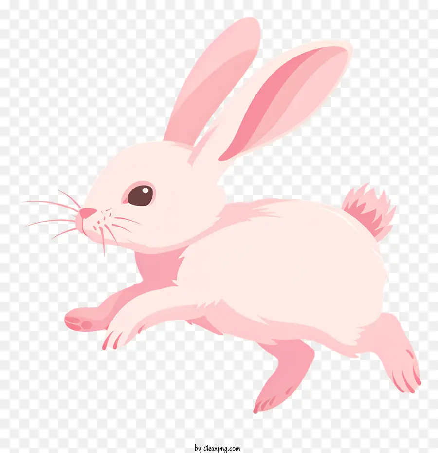 Bunny Hop weißer Kaninchen -Cartoon rosa Ohren laufen - Cartoon lauft weißes Kaninchen auf schwarzem Hintergrund