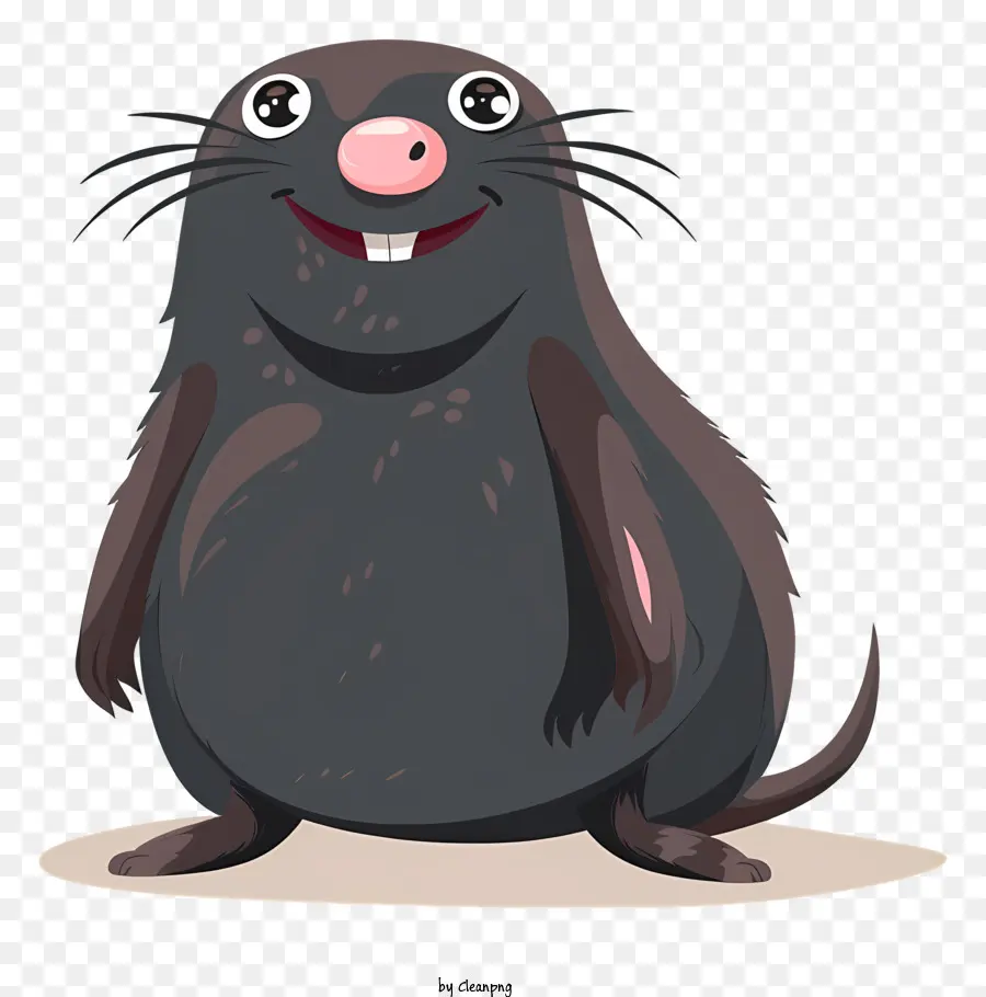 Mol Day Braunes Wasser Maulwurf Ratte Schnurrhiser rosa Ohren Wasser Säugetier - Brown Water Mole Ratte sieht überrascht aus, sitzend zu sitzen