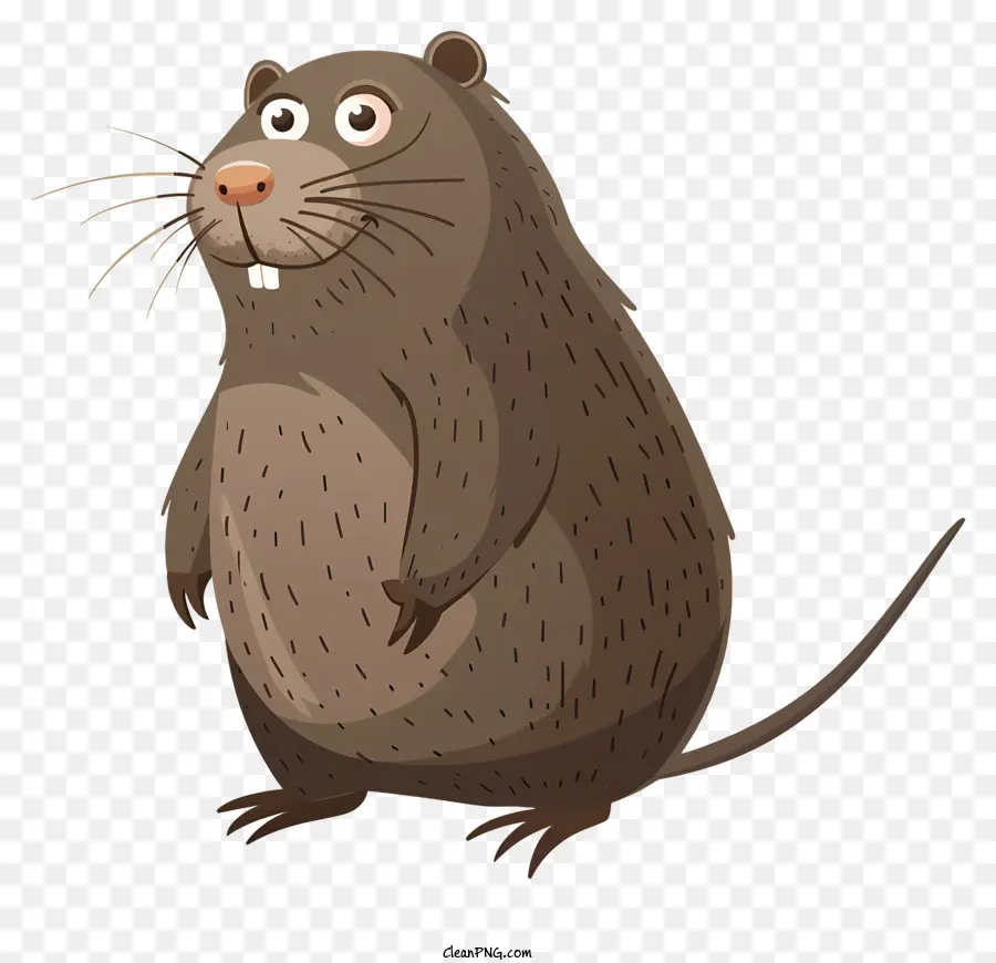 Mol Day Brown Ratte überraschte den Ausdruck großer Augen langer Schwanz - Überraschte braune Ratte auf den Hinterbeinen stehen