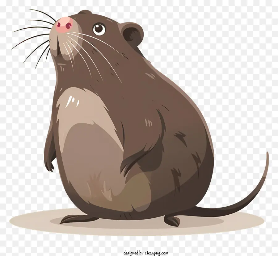 Ngày của Mole, động vật gặm nhấm động vật có vú nhỏ động vật có vú sắc bén - Động vật có vú động vật ăn cỏ nhỏ có răng sắc nhọn