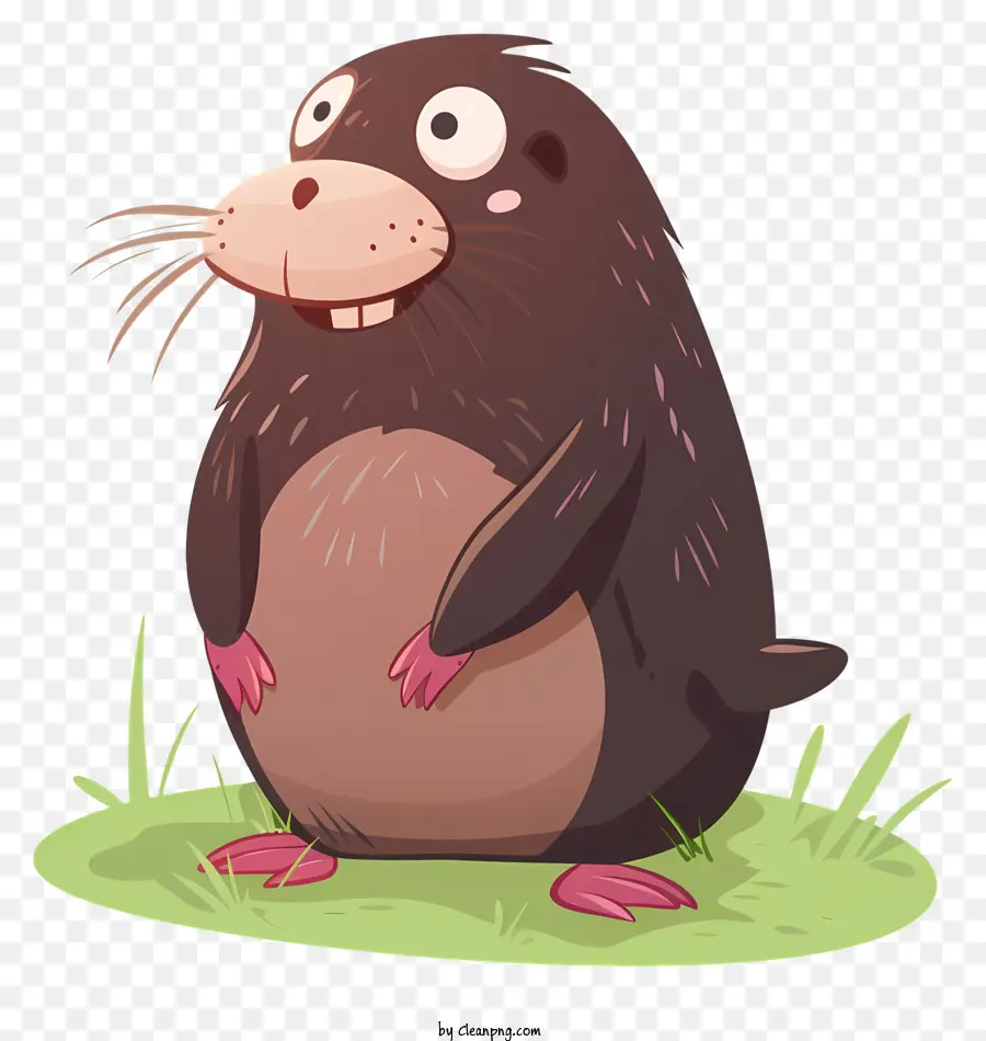 mole cute beaver cartoon grass hat