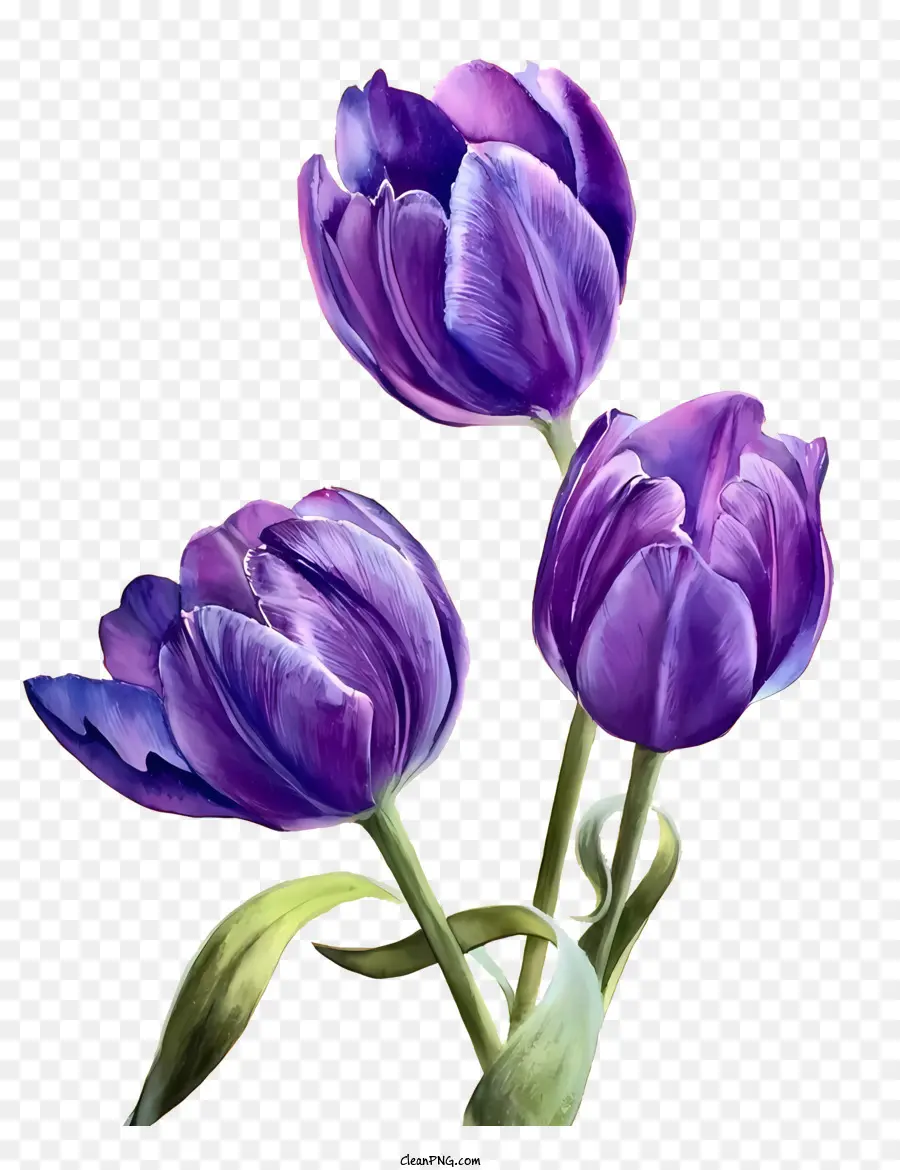 Blume Malerei - Lila Tulpen auf blauem Hintergrund, symmetrische Anordnung