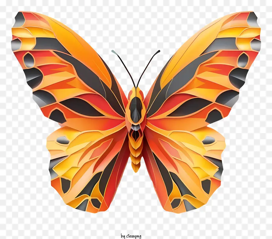 Schmetterling Orange Butterfly Insektenflügel Schwarzer Hintergrund auf einem Zweig sitzen - Orange Schmetterling auf schwarzem Hintergrund mit gemusterten Flügeln