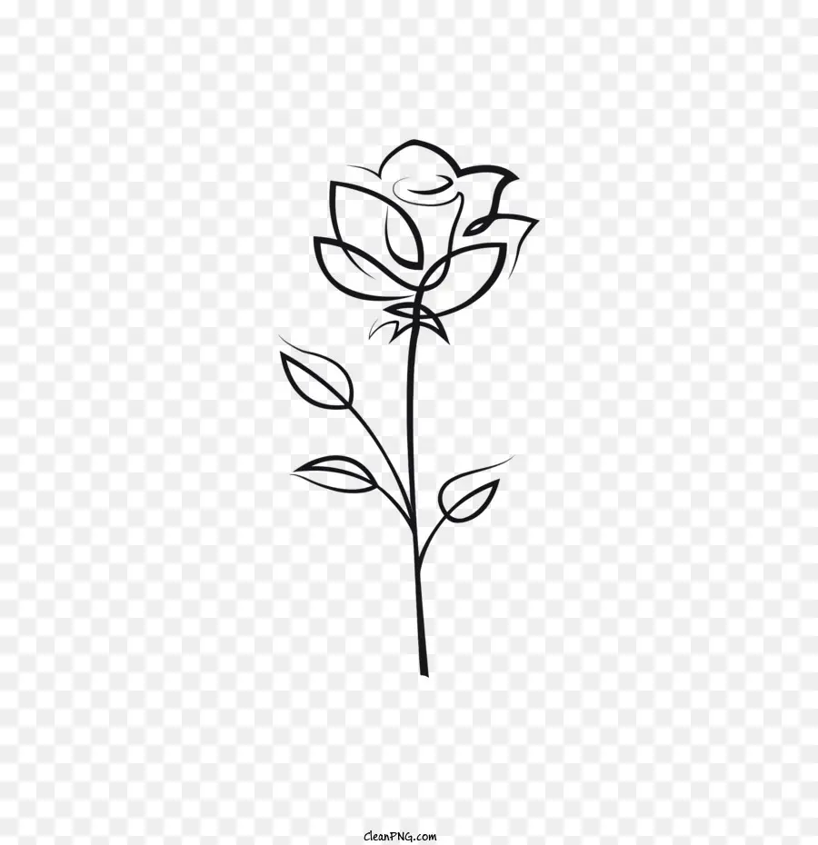 grünes Blatt - Schwarz -Weiß -Zeichnung einer einzelnen Rose