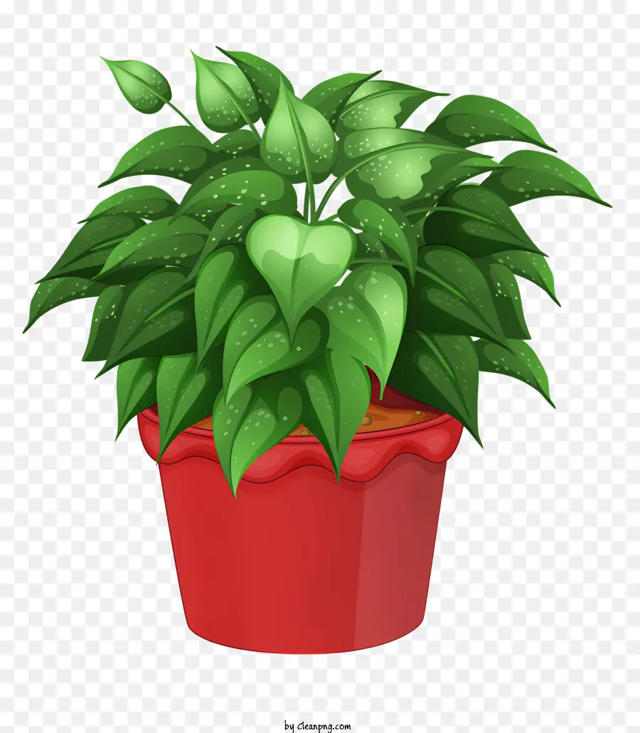 Topfpflanzen Büroanlagen Zimmerpflanzen pflanzte Pflanze grüne Blätter - Haupterpflanze mit roten Blumen im roten Topf