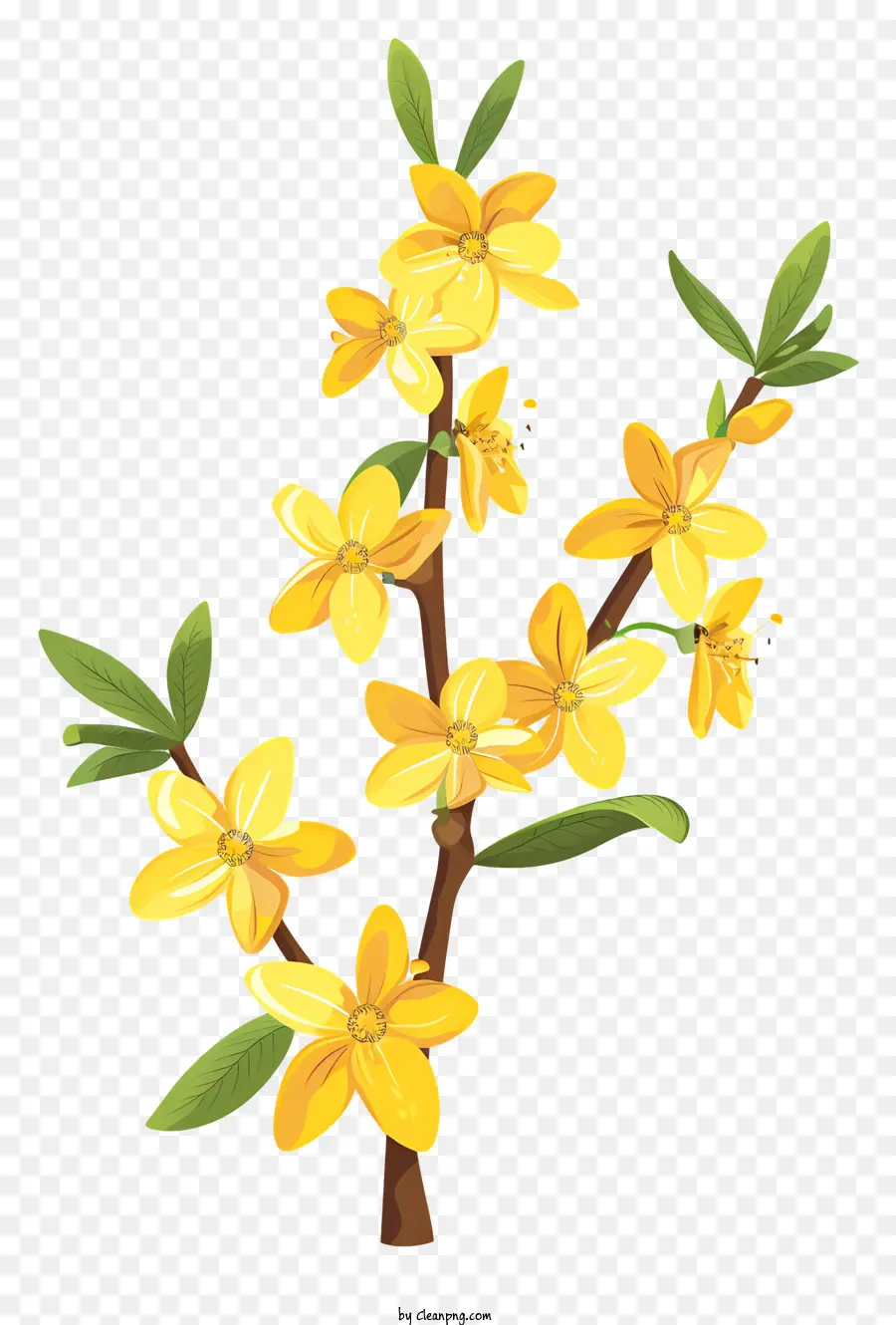 Frühlingsblume - Gelbe Blumen am Zweig, schwarzer Hintergrund