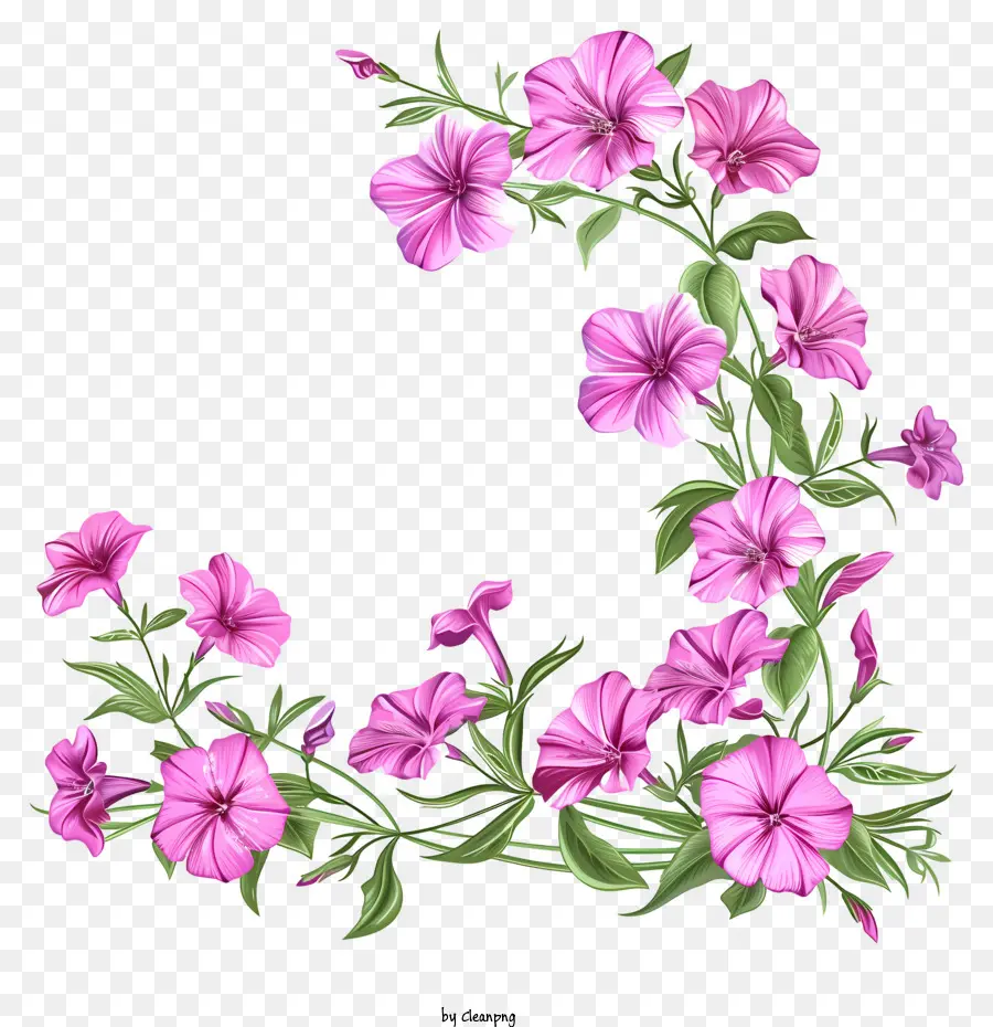 hoa mùa xuân - Bóng hoa màu hồng trong hình chữ C