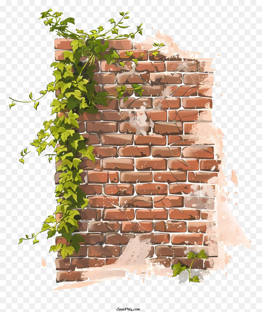 Ivy - Tường gạch cũ, mòn được bao phủ trong cây thường xuân