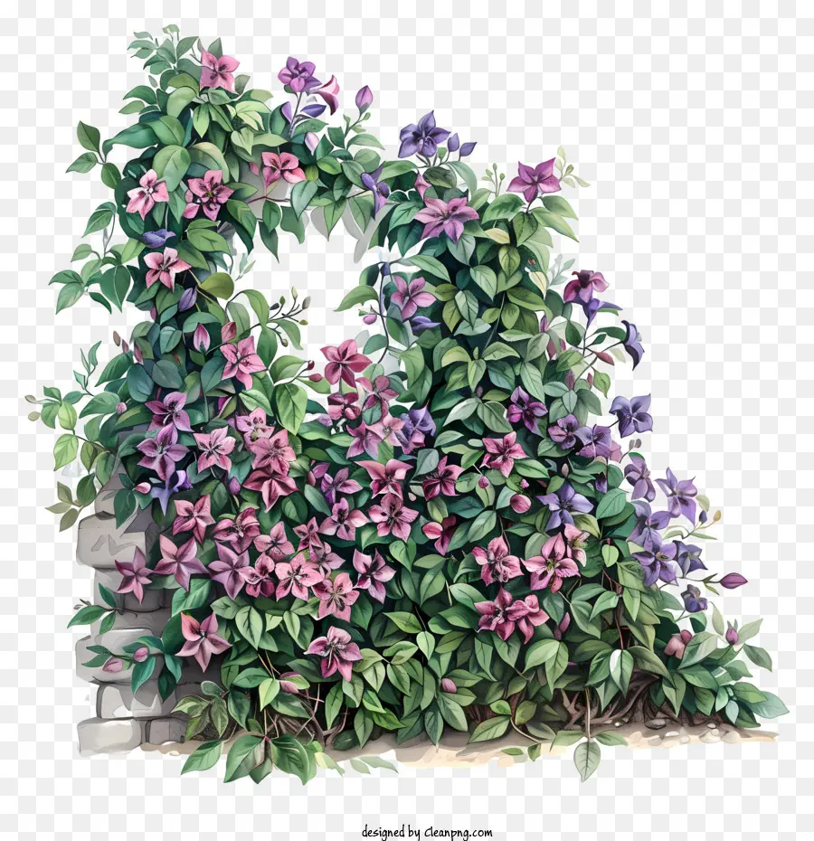 fiore di primavera - Bush colorato con vite, senza rami