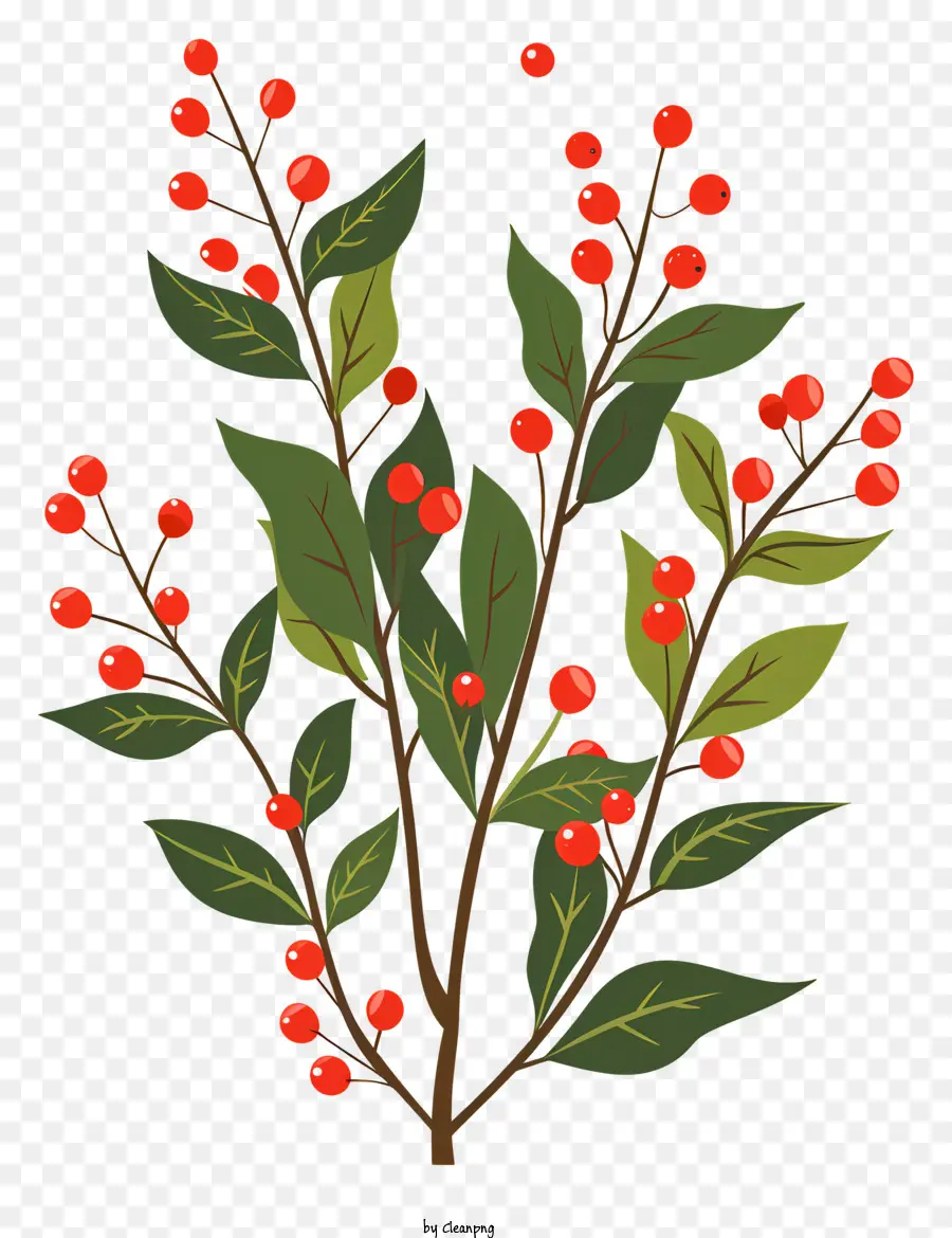 Weihnachtsbummel pflanzliche Pflanze rote Beeren grüne Blätter dunkler Hintergrund - Topfpflanze mit roten Beeren, dunkler Hintergrund