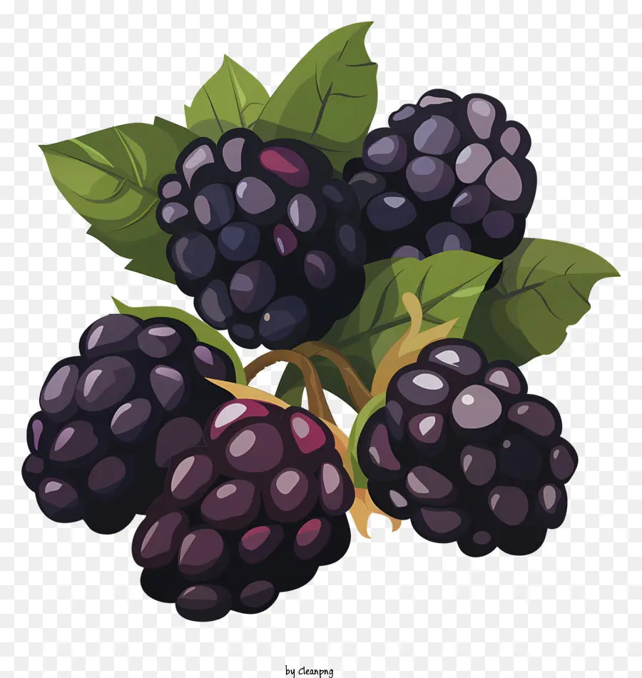 Blackberries Blackberry Cooking Baking Fruit - Immagine di succosa mora usata in cucina