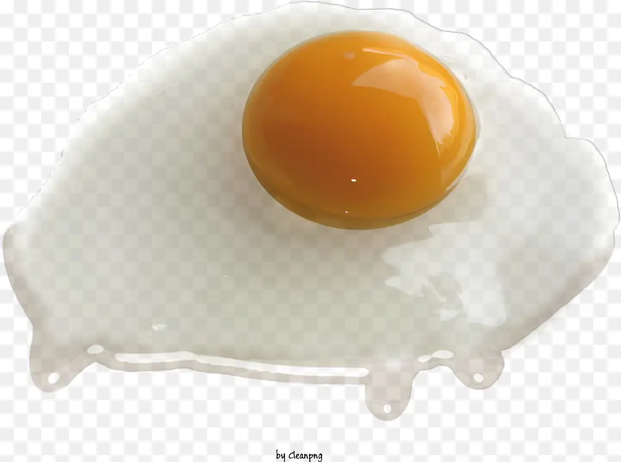 uovo - Uovo fritto su padella, aspetto realistico