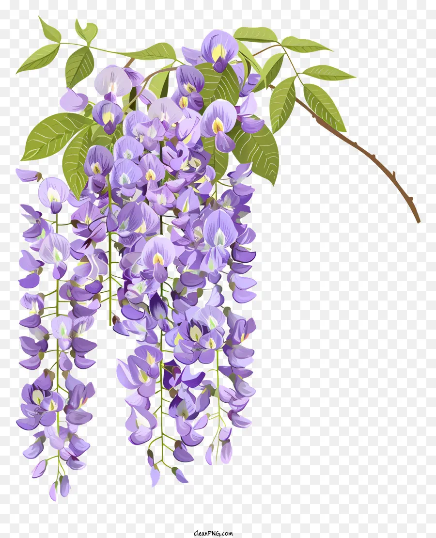 wisteria wisteria painting purple flowers floral art realistic painting