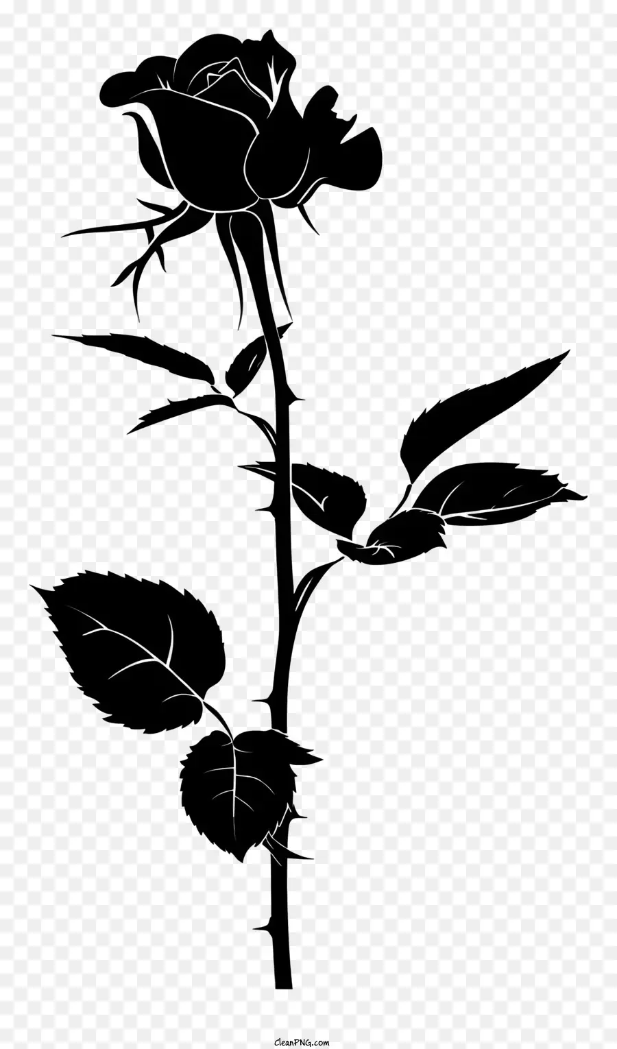 Blume silhouette - Dunkle Tinte Rose auf schwarzem Hintergrund